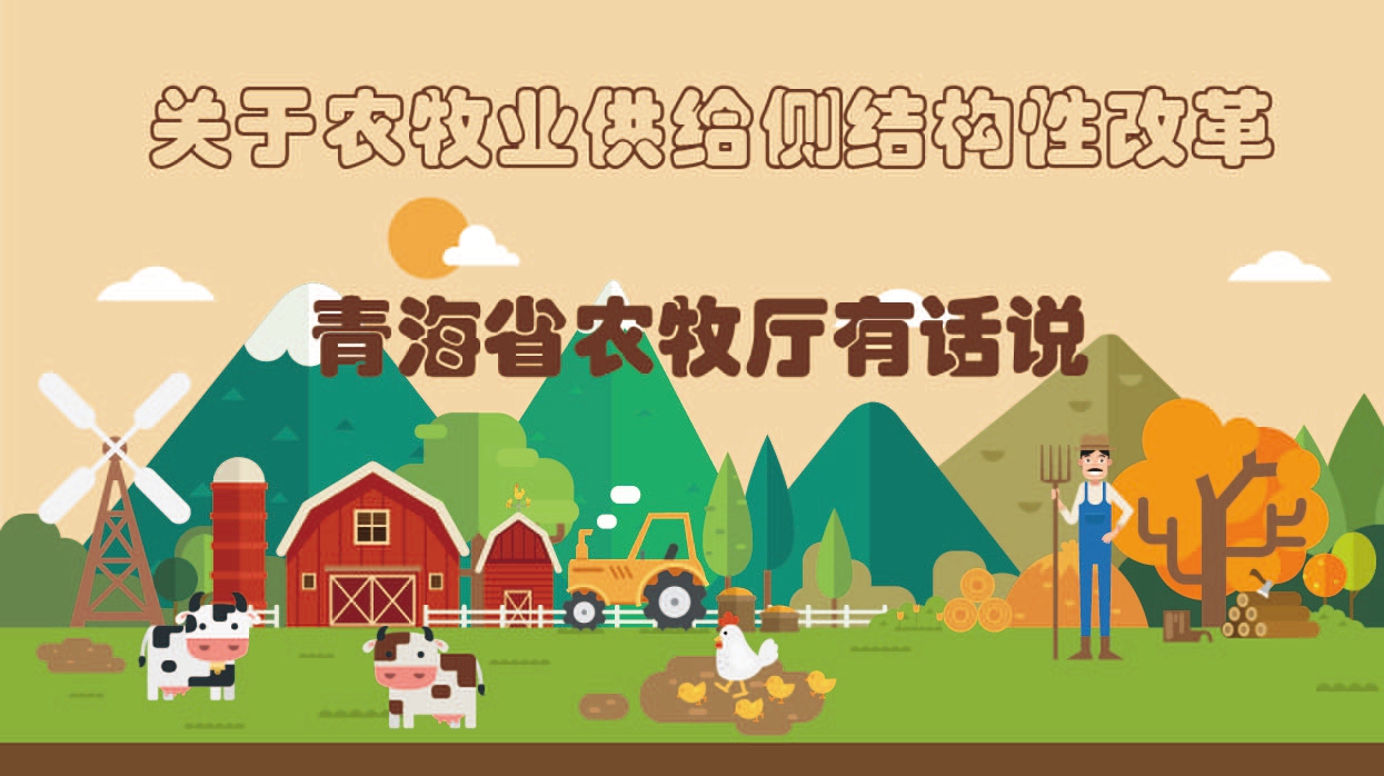 關于農牧業(yè)供給側結構性改革 青海農牧廳有話說